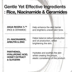 Anua Rice 7 + Ceramide Hydrating Barrier Serum 50ml