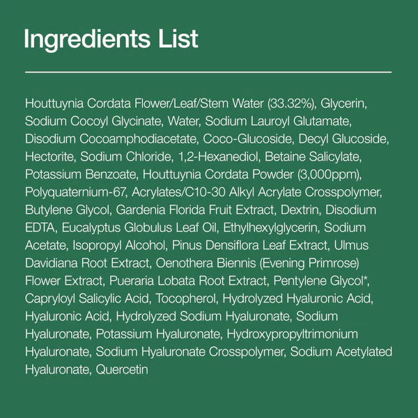Heartleaf Quercetinol Pore Deep Cleansing Foam 150ml